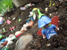 Fairy Garden