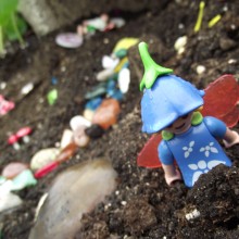 Fairy Garden