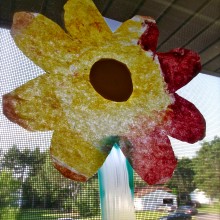 Window Flower Garden