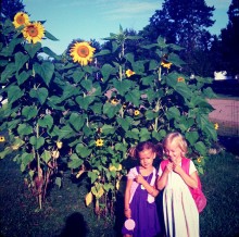 Sunflower House