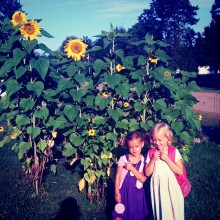 Sunflower House