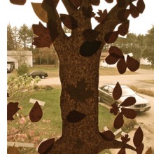 Growing Organic Readers