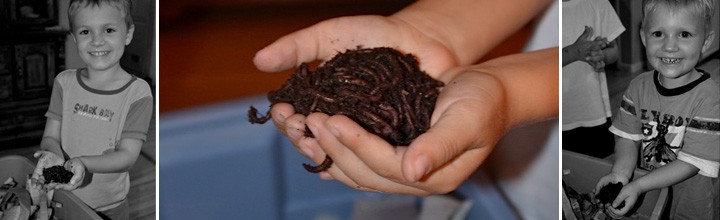 Adventures in Worm Poop