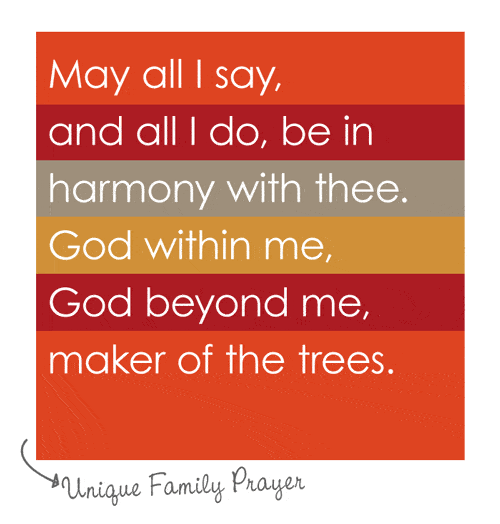 May all I say and all I do be in harmony with thee. God within me, God beyond me, maker of the trees.