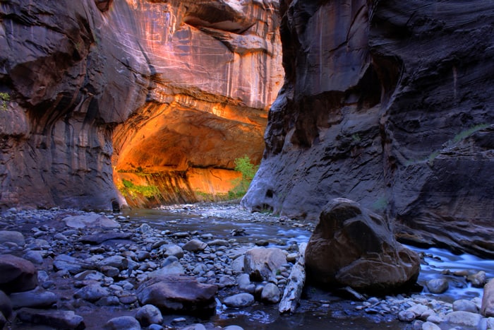 Narrows | Zion National Park