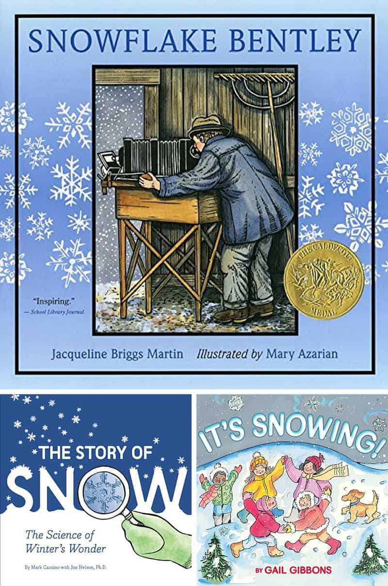 Snowflake books for kids