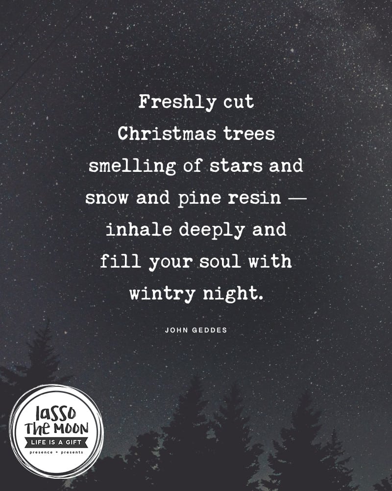Freshly cut Christmas trees smelling of stars and snow and pine resin — inhale deeply and fill your soul with wintry night.