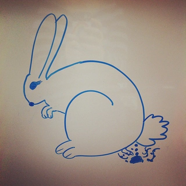 How to Draw a Cartoon Bunny Rabbit - Video Tutorial *Plus step-by-step printable instructions!