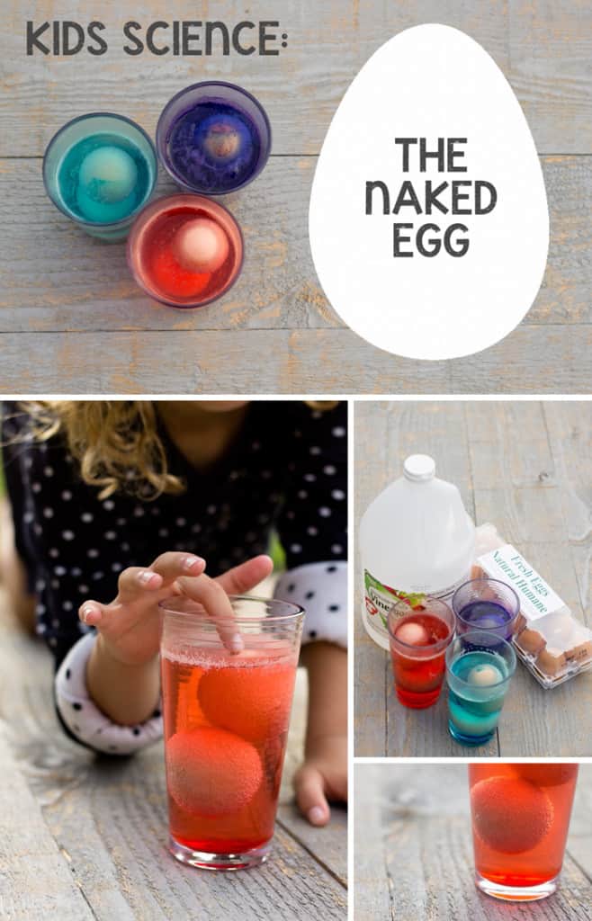 The Naked Egg Experiment: Simple science with Tinkerlab *This is crazy cool