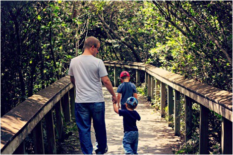 Florida Everglades: More Than Just A Swamp #family #travel *Great photos