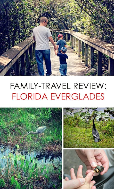 Florida Everglades: More Than Just A Swamp #family #travel *Great photos