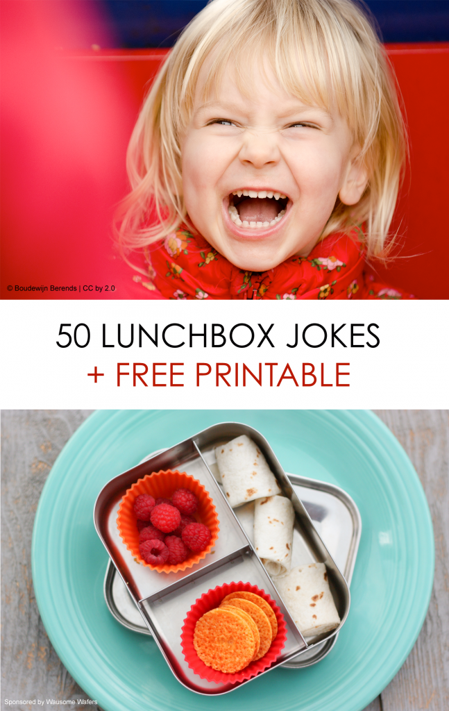 Printable Kids Lunchbox Notes: Over 50 Lunchbox Jokes for Kids #lunchideas #lunchbox #jokes #kidsjokes #lunchboxjokes *My kids are going to love these silly lunchbox jokes