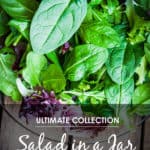 30 Mason Jar Recipes: A Month Worth of "Salad in a Jar" Recipes *Awesome list of lunch ideas