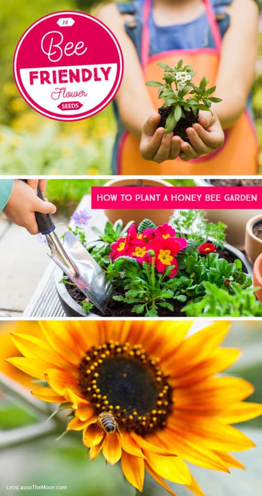 How to Plant a Honey Bee Garden With Kids: List of 10 bee-friendly flowers *Saving this gardening reference list