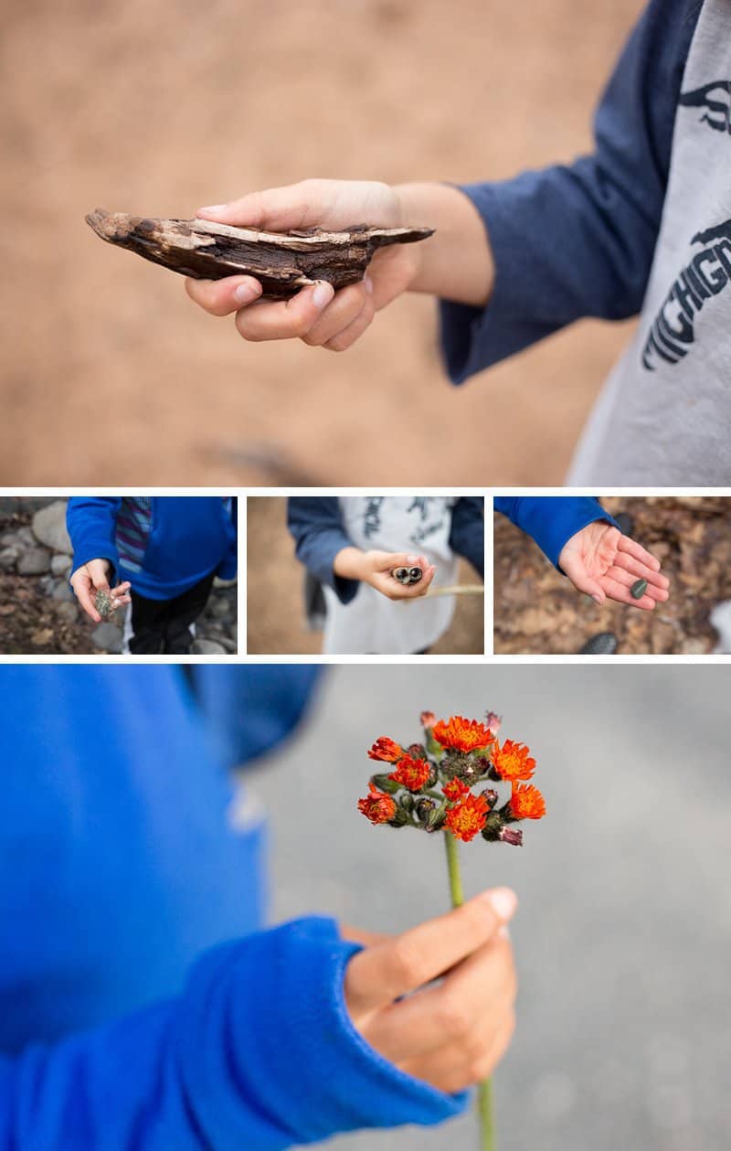 Taking photos of treasures your kids collect while slow hiking is a way to say "I see you." *Great article for parents!