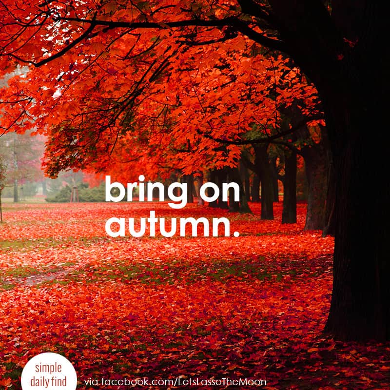 "Bring on autumn." 20 Fun Fall Activities For Kids That Moms Will Secretly Love: Unique and family-friendly autumn activities and children and adults will love *This is a great list. Saving it for later. Love this quote