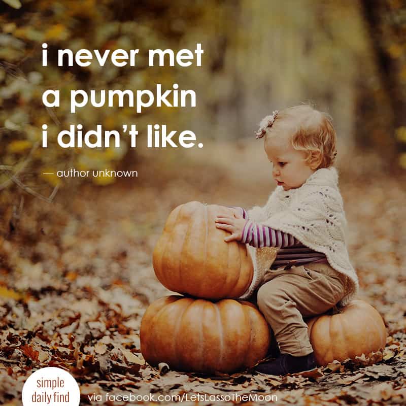 I never met a pumpkin I didn't like. #quote