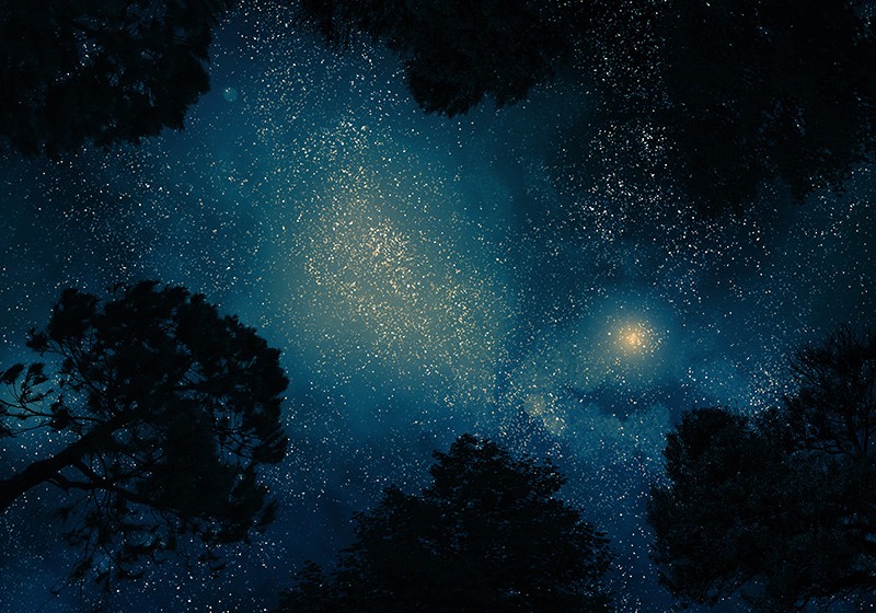 Star Gaze - 20 Simple Things You Can Do Right Now to Make Yourself Happier *Loving this list