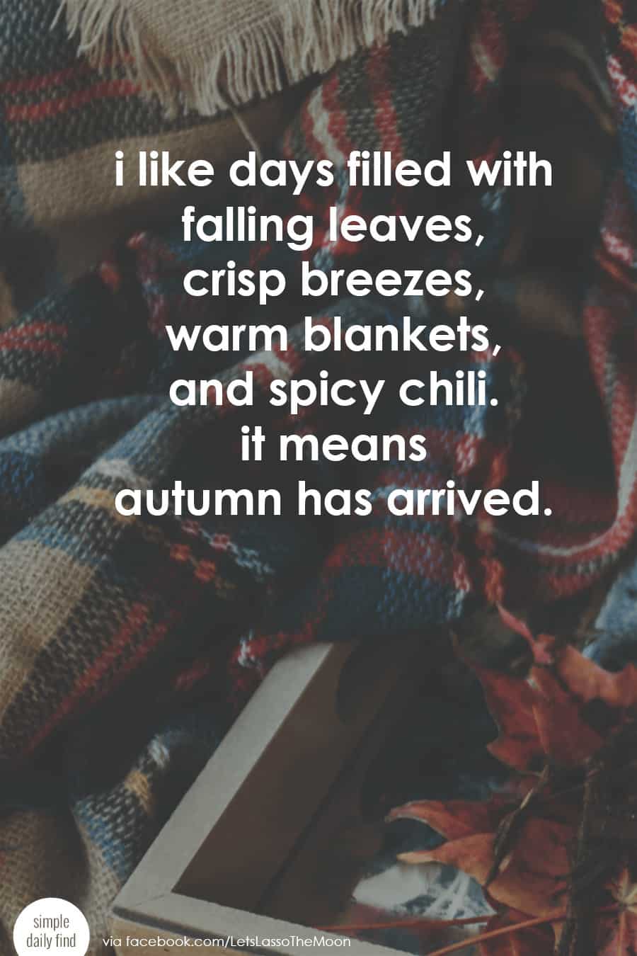 i like days filled with crisp breezes, falling leaves, warm blankets, and spicy chili. it means autumn has arrived. #quote*love this. love fall.