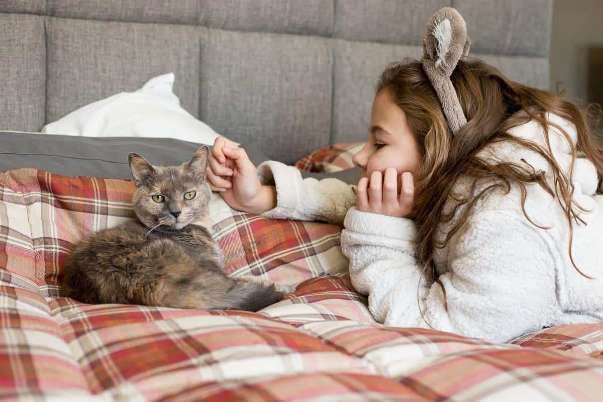 You Know You've Raised Your Kids To Be Cat People When... #catperson #catpeople #cats *This post is cracking me up. My kids do almost all of these things.