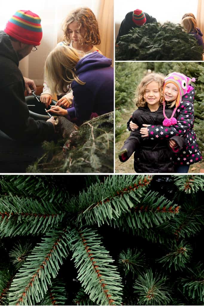 A family gathered around the base of a bare fresh Christmas tree as they prep to put it up.