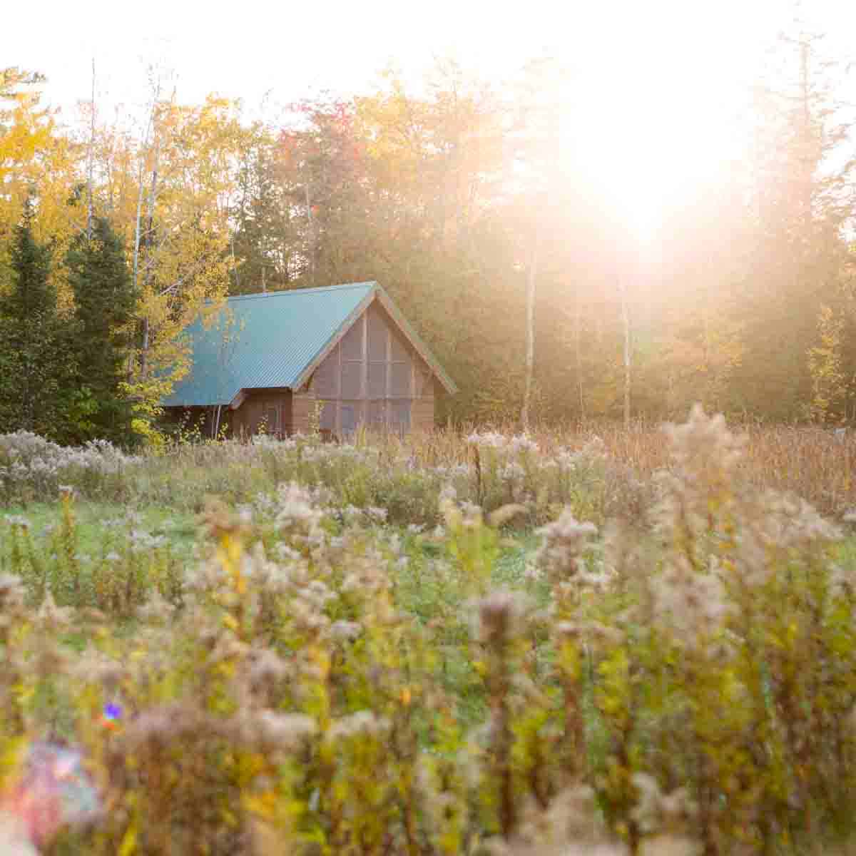 Cabin in Wisconsin between a field and forest.