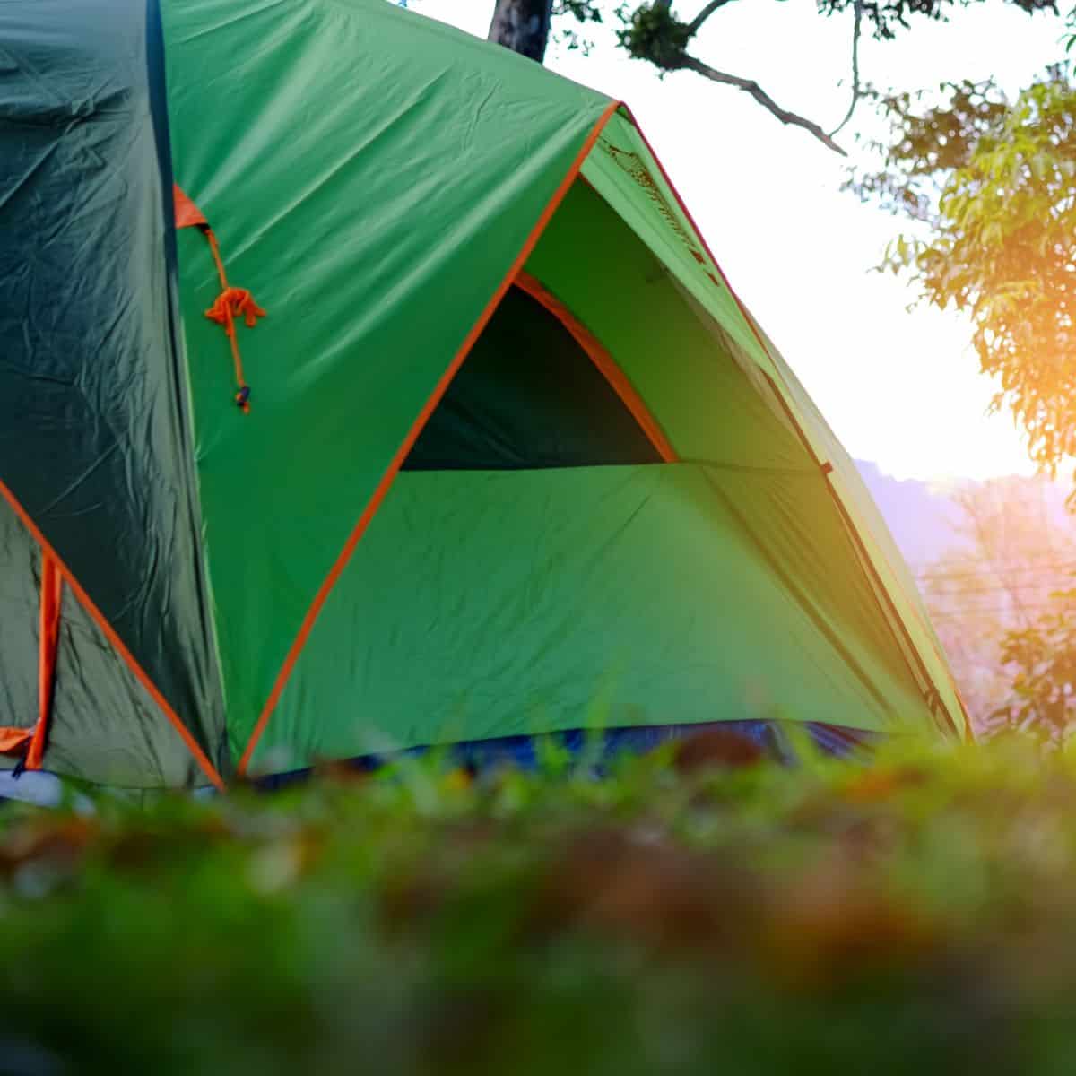 A family tent on a summer morning.